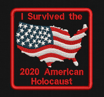 I Survived the 2020 American Holocaust with Flag Graphic Patch
